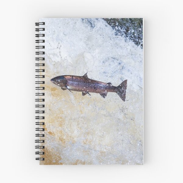 Item preview, Copy of Copy of wild fish atlantic salmon leaping on waterfall designed and sold by chanonry.