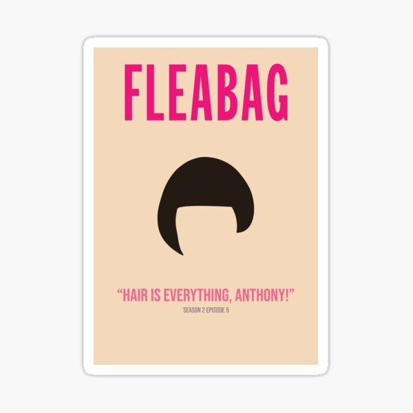 Vista previa del artículo con la obra «Fleabag Hair lo es todo», diseñado y vendido por Iucysbubble.