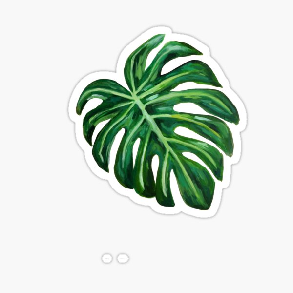 Palm leaf Sticker