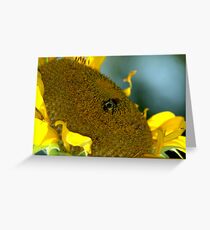 Busy Bumble Bee Greeting Card