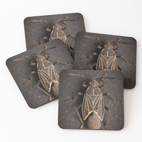 Item preview, BoxElder designed and sold by The Green Monk.