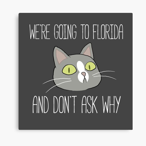 Talking Cat Canvas Print