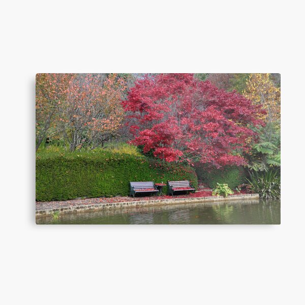 Bisley Gardens Bench - Mt Wilson NSW Australia Metal Print