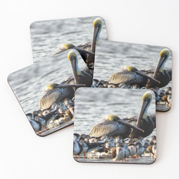 Item preview, Pelicans and Skimmers designed and sold by JacobPMcE.