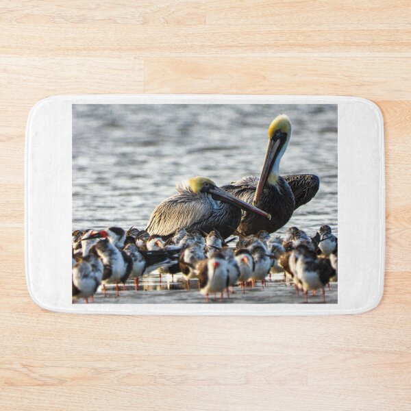 Item preview, Pelicans and Skimmers designed and sold by JacobPMcE.