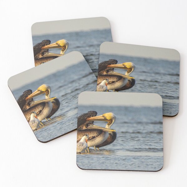 Item preview, Pelicans and gull designed and sold by JacobPMcE.