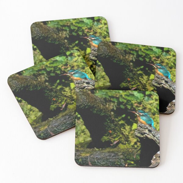 Item preview, LIVING THE LATRINE LIFE ! designed and sold by NICK COBURN PHILLIPS.