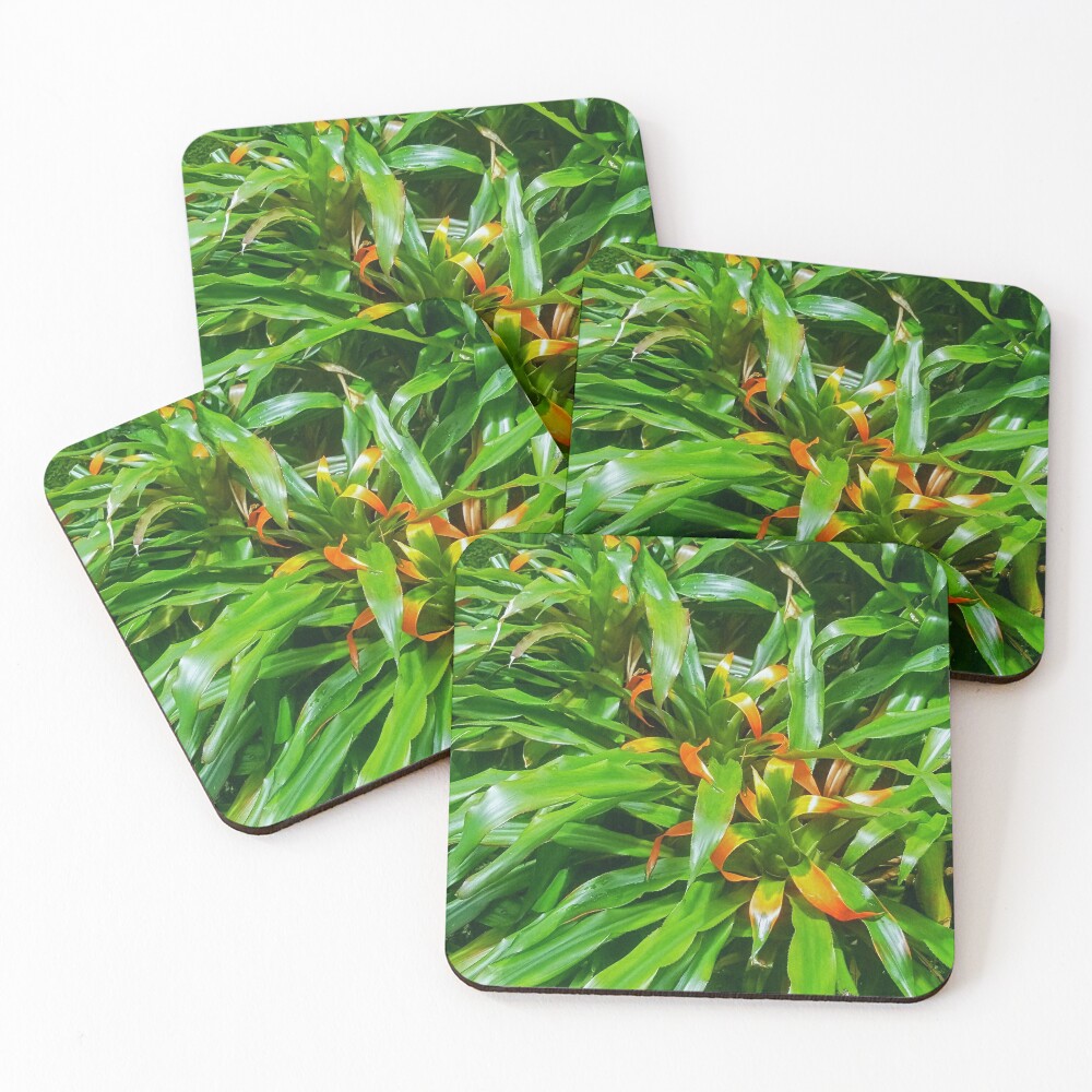 Item preview, Coasters (Set of 4) designed and sold by Racsontos.