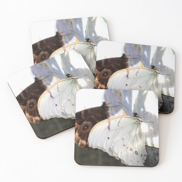 Item preview, Blue & white morpho butterflies designed and sold by GreyFeatherPhot.