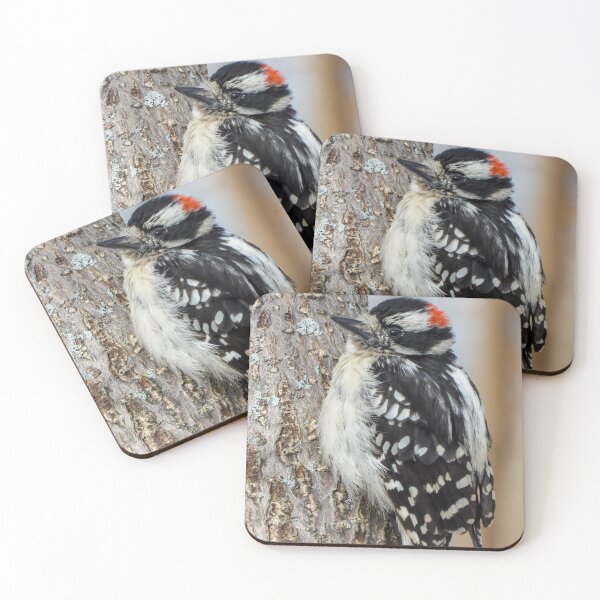 Item preview, Male Downy Woodpecker on Trunk designed and sold by JacobPMcE.