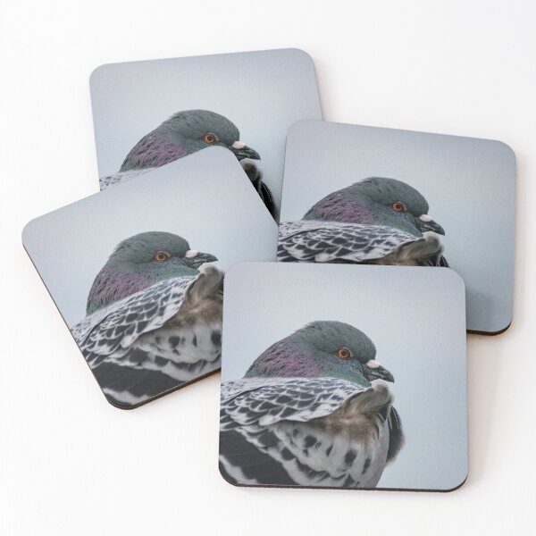 Item preview, Red-eyed Pigeon designed and sold by JacobPMcE.