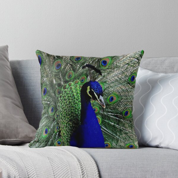 Item preview, Peacocks pride and glory designed and sold by BBrightman.