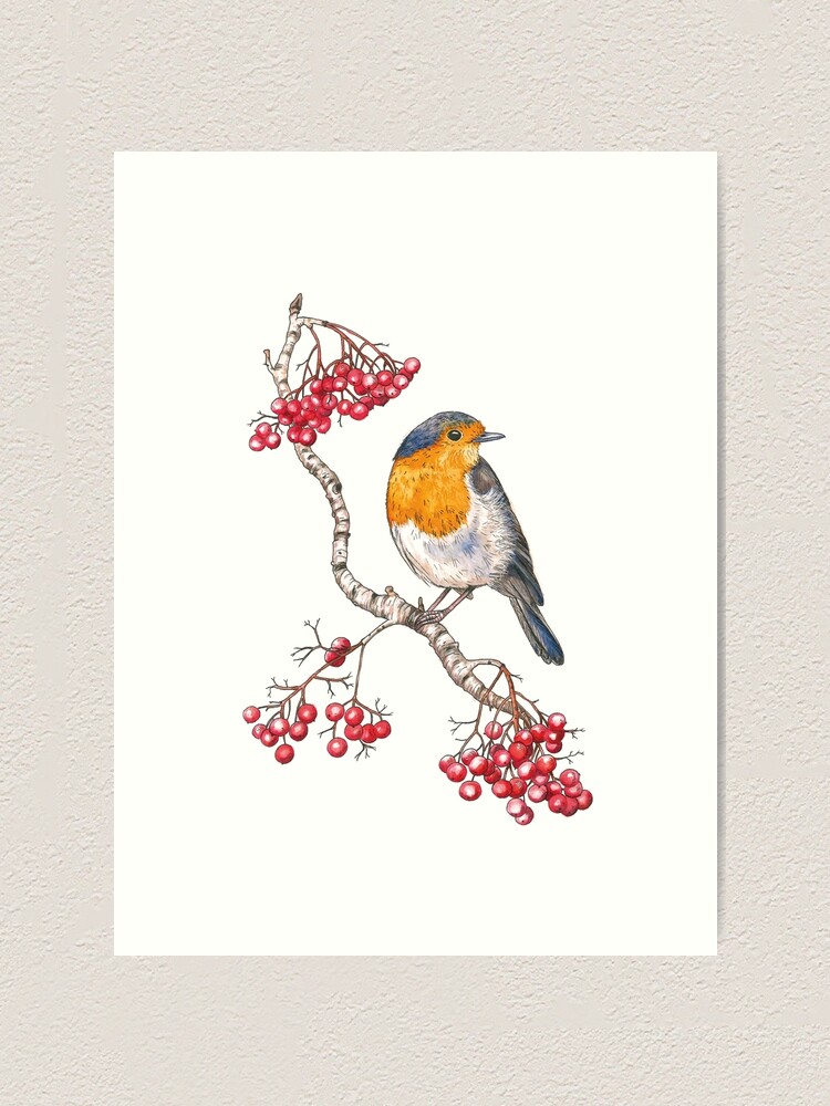 Alternate view of Robin Art Print
