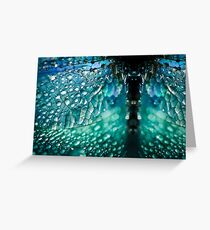 Born A Dragonfly Greeting Card