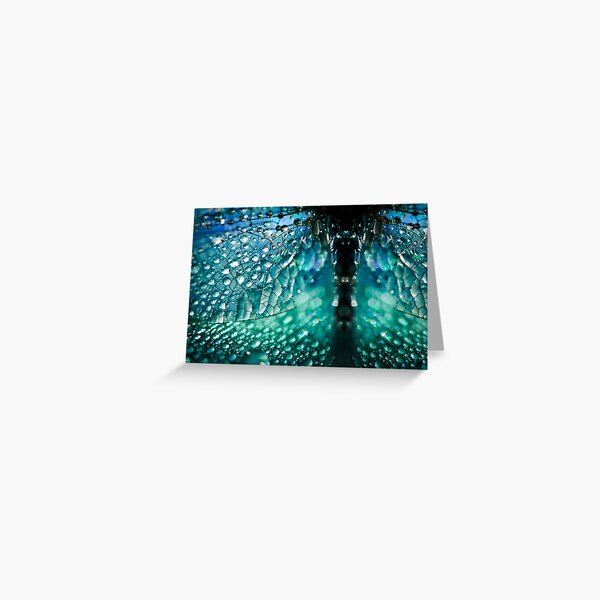 Born A Dragonfly Greeting Card
