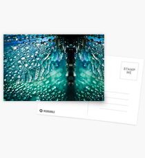 Born A Dragonfly Postcards