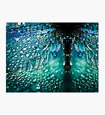 Born A Dragonfly Photographic Print