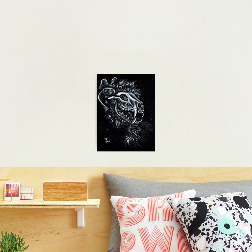Fisher Cat Spook Photographic Print