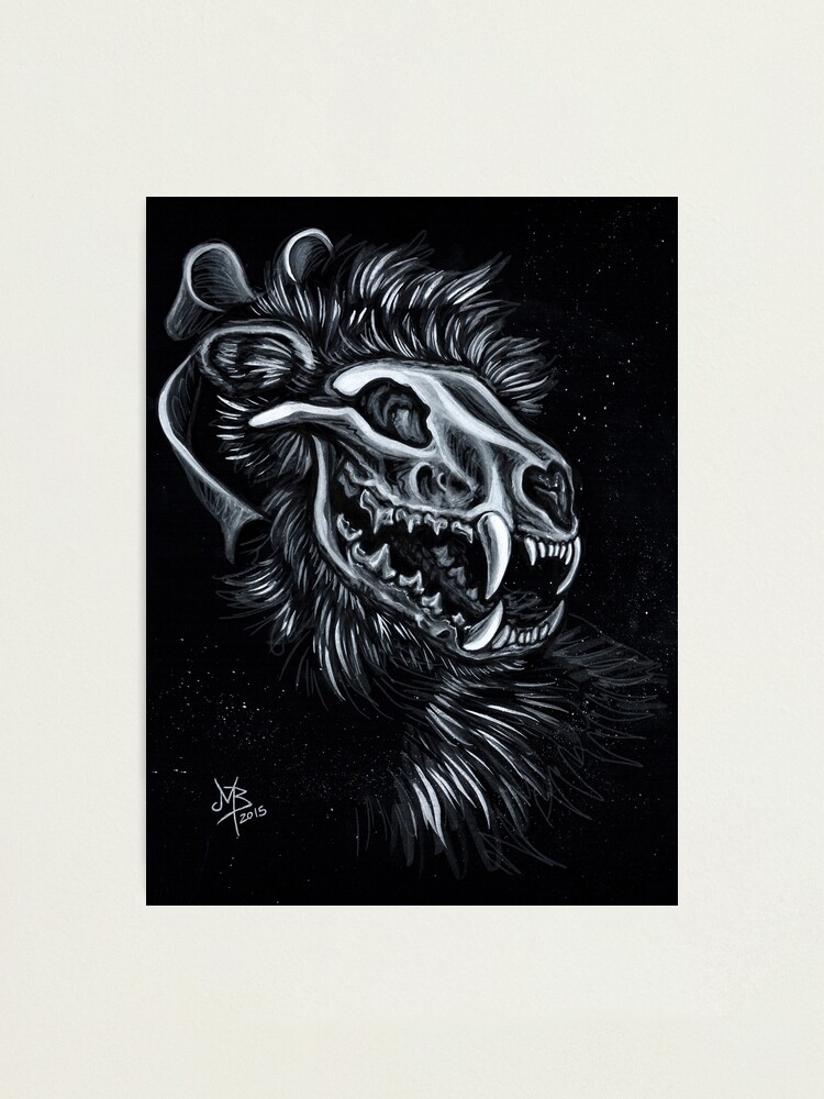 Alternate view of Fisher Cat Spook Photographic Print