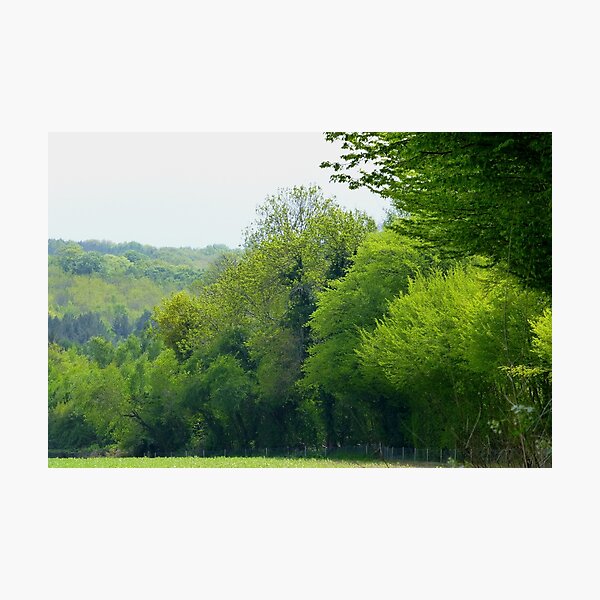 Green Meadow Heart of Sussex Photo Photographic Print
