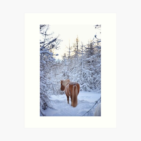 Islandia Gifts Merchandise Redbubble