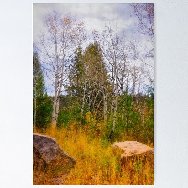 Item preview, Ashton Idaho - Season Of Color (f) designed and sold by IMAGETAKERS.