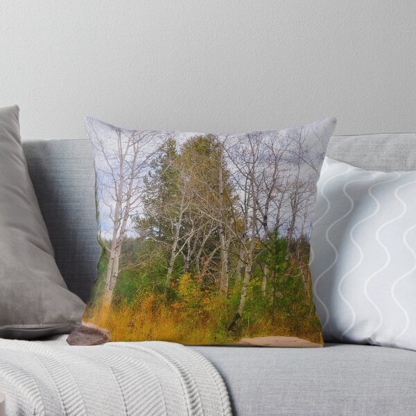 Item preview, Ashton Idaho - Season Of Color (f) designed and sold by IMAGETAKERS.