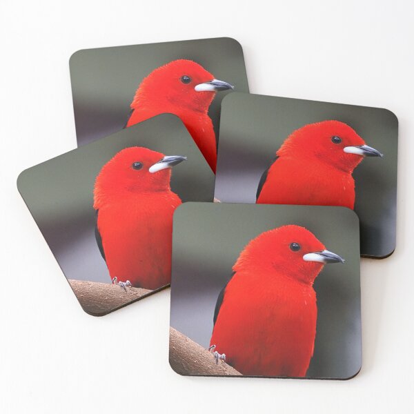 Item preview, pajaro rojo designed and sold by Barnbk02.
