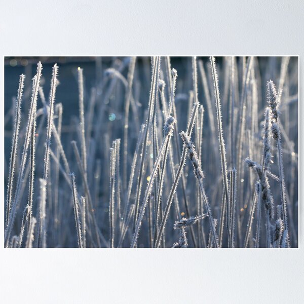 Item preview, ~ Sparkles & Icicles ~ designed and sold by LeeoPhotography.