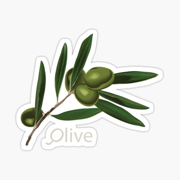 Olive Branch Sticker