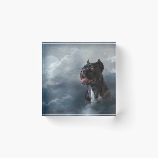 Item preview, Drawing oil painting dog breed Cane Corso on old vintage grunge paper designed and sold by bonidog.
