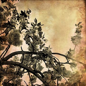 Artwork thumbnail, Brushed Cherry Blossoms - Flower Lovers Gift by OneDayArt