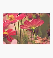Stand up! girls...Sold, Got explore Featured, Got 3 Featured Works Photographic Print