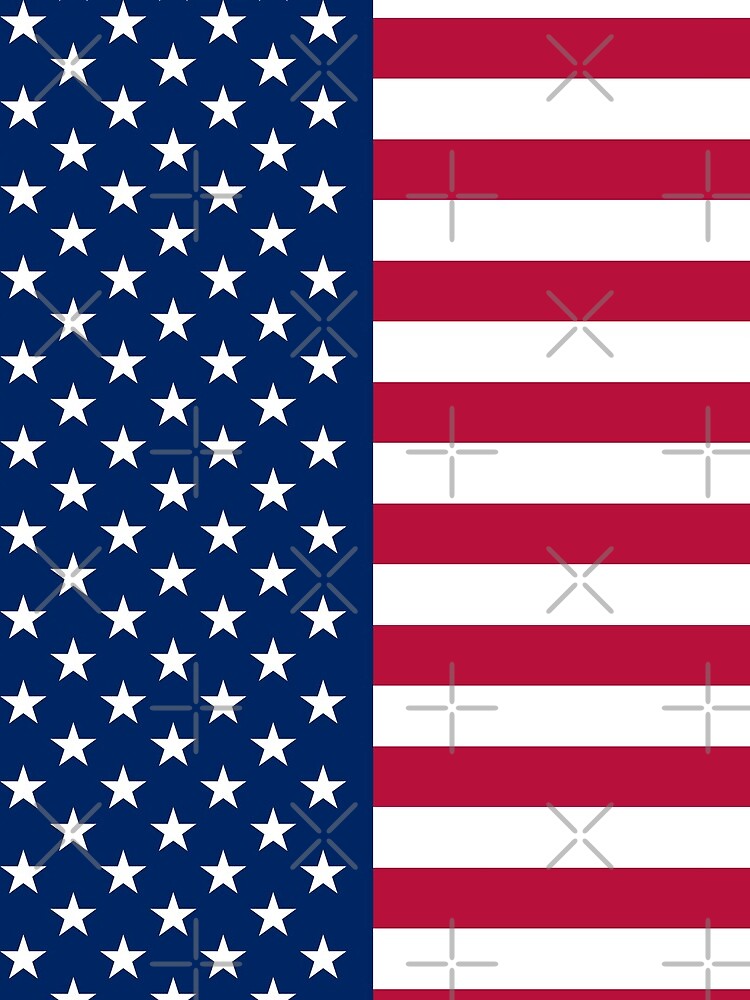 Disover United States Flag - USA Stars and Stripes Mini Skirt