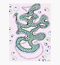 Amoeba Photographic Print