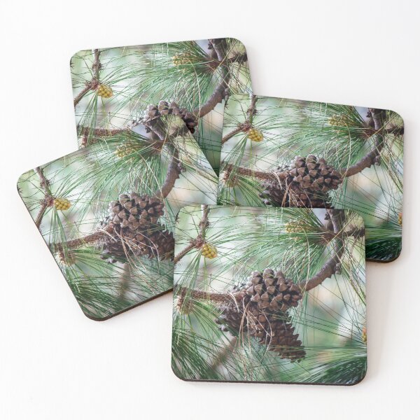 Item preview, Pinecone Triplets designed and sold by sgrace.