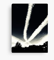 signs 1 Canvas Print