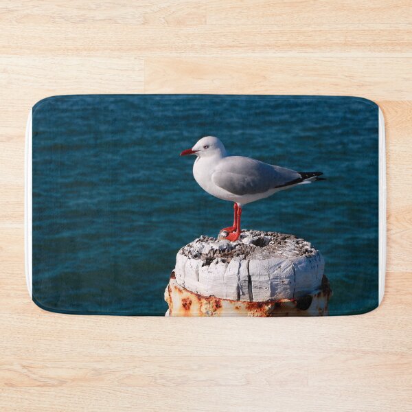 Item preview, Seagull in the Sunlight designed and sold by jwwallace.