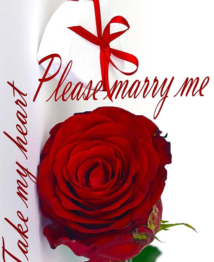 Please Marry Me Ipad Case Skin By Soh33 Redbubble