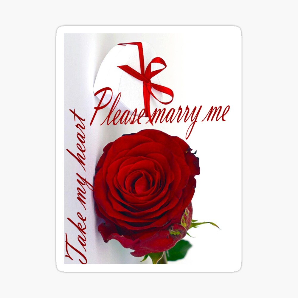 Please Marry Me Water Bottle By Soh33 Redbubble