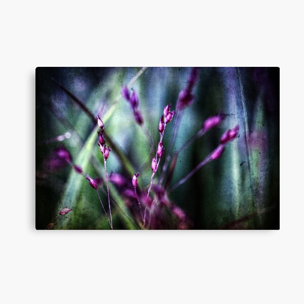 Random Canvas Print