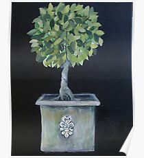 Topiary Tree Poster