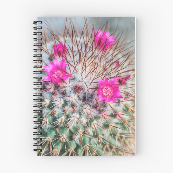 Item preview, A blooming cactus designed and sold by CameliaC.