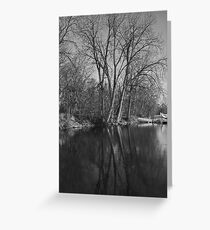 Reflection Greeting Card