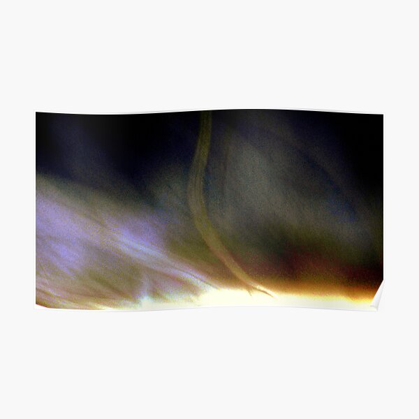 A Predawn Touchdown Poster