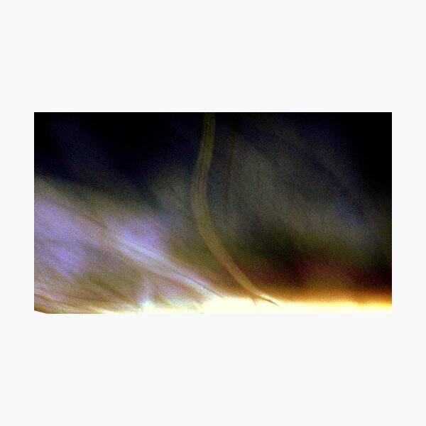 A Predawn Touchdown Photographic Print
