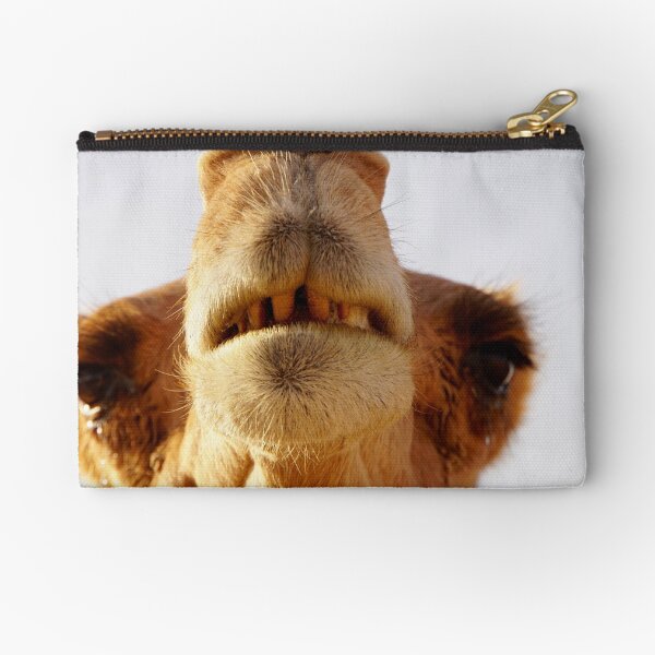 Item preview, Dromedary at Oman designed and sold by Sturmlechner.