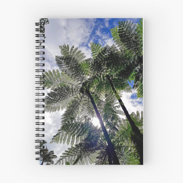 Item preview, Giant Tree Ferns designed and sold by fnq-photography.