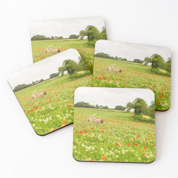 Item preview, Chasing Poppies Spinone designed and sold by FOLK ART FUSION.