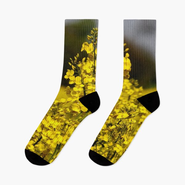 Item preview, Rapeseed Field designed and sold by AnnDixon.